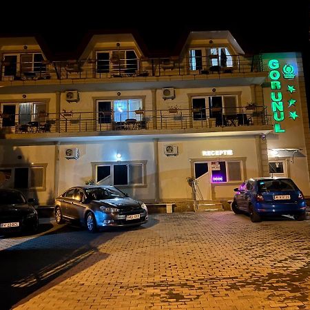 Hotel Gorunul Hunedoara Bagian luar foto